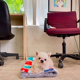 CEO คุณลุงแฮปปี้