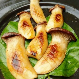 ชุดเห็ดนางรมหลวงย่าง หอมๆ ซอสเทอริยากิ +ฟรีผงหม่าล่าแยก