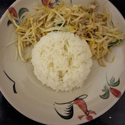 ผัดถั่วงอกราดข้าว