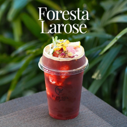 ฟอเรสต้า ลา โรส