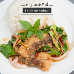 ข้าวปลากะพงผัดฉ่า