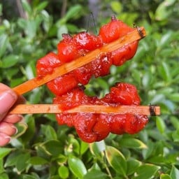 ไก่ย่างแดงไม้หนีบ