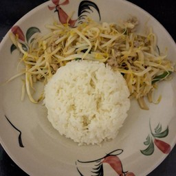 ผัดถั่วงอกหมูสับ+ราดข้าว