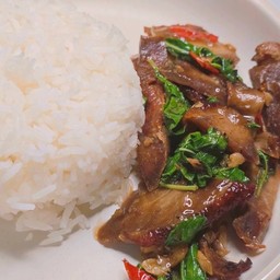 ข้าวกระเพราเป็ด