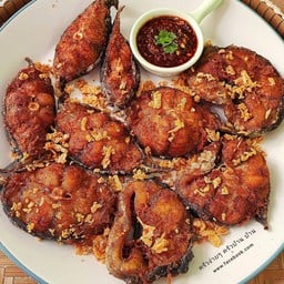 ร้านปลานึ่งปลาทอด(อาหารอีสาน)