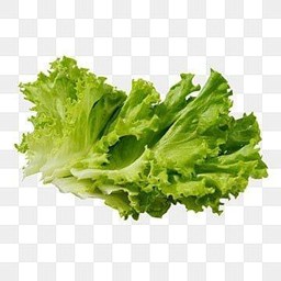 ผักสด