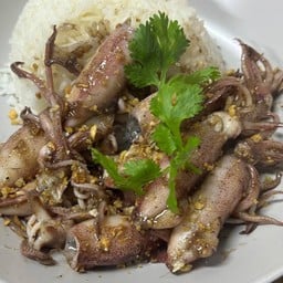 ข้าวปลาหมึกกะตอย ทอดกระเทียม