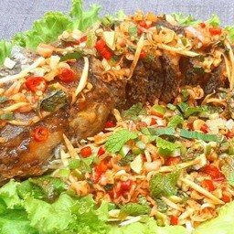 ปลาช่อนลุยสวน