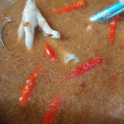 น้ำยาป่าตีนไก่ ( กับข้าว )