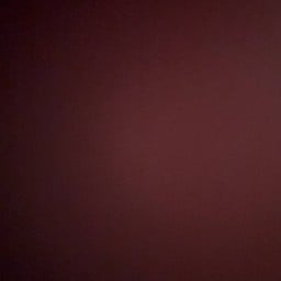 ลูกชิ้นเอ็นวัวลอยน้ำ