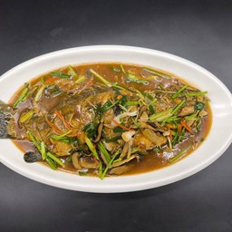 ปลากะพงน้ำแดง 红纹鲈鱼