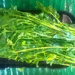 สะเดาลวก 1 มัด