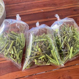 ผักกระเฉด