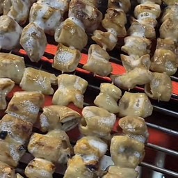 ไส้ใหญ่ย่าง