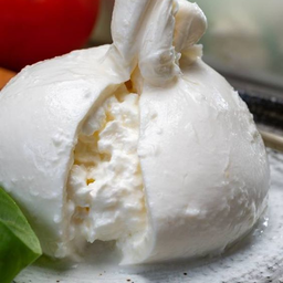 Burrata cheese / บูรต้าชีส