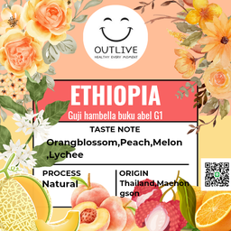 Outlive Cafe Luang Prabang, Laos