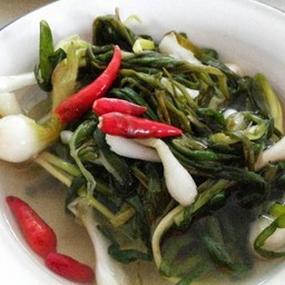 ส้มผัก (ต้นหอมดอง)