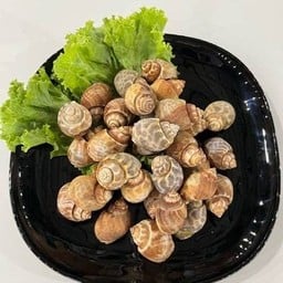 หอยหวานเผา 1 กิโลกรัม หอยเผา หอยย่าง