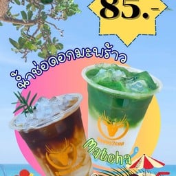 มัทฉะน้ำช่อดอกมะพร้าว