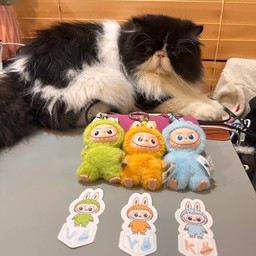 [เซตสุดฮิต] กล่องสุ่มภาระ เปอร์เซีย + Aunchun MAnao เปรี้ยวไม่ปลอม