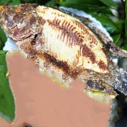 ปลาเผา size XL ไม่มีเครื่องเคียง