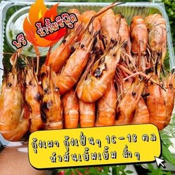 กุ้งเป็นเผา 1 กก. กุ้งก้ามกรามหัวมันเยิ้ม 16-18 ตัวโล