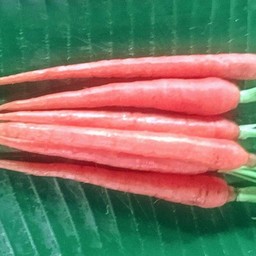 เบบี้แครอท 2 หัว