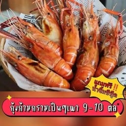 กุ้งเป็นเผา 1 กก. กุ้งก้ามกรามหัวมันเยิ้ม 9-10 ตัวโล