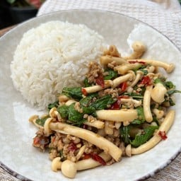 ข้าวกะเพราเห็ดหมูสับ