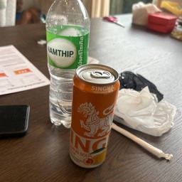 กลับมาเกิดใหม่เป็นกระเพาะปูปลา -