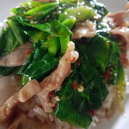 ผัดคะน้าหมูหมัก ราดข้าว