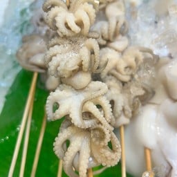 หมึกสายจิ๋ว