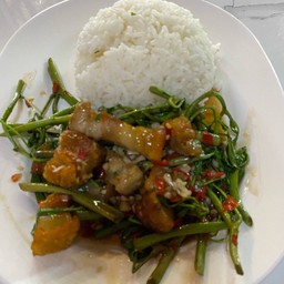 ข้าวกระเฉดหมูกรอบ