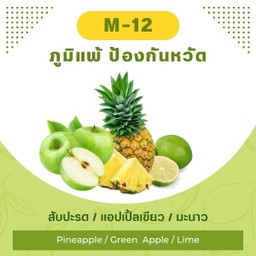 สับปะรด / แอปเปิ้ลเขียว / มะนาว