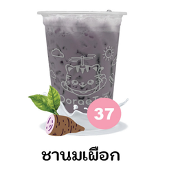 ชานมเผือก