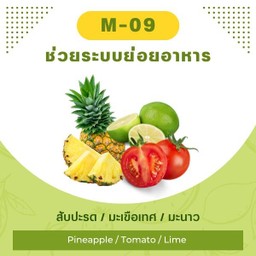 สับปะรด / มะเขือเทศ / มะนาว