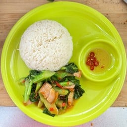 ผัดผักคะน้า ราดข้าว