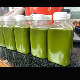 ชาเขียวมัทฉะ+น้ำแข็ง 1 แก้ว