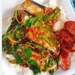 ปลากระป๋องผัดกระเพราราดข้าว