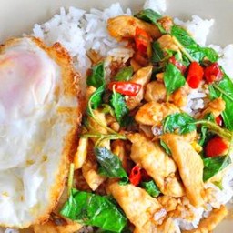 กะเพราไก่