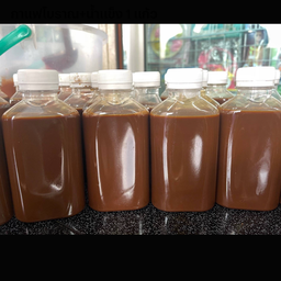 กาแฟ+น้ำแข็ง 1 แก้ว