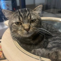 อยากชงเฉย