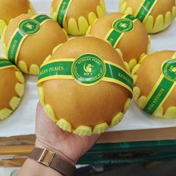 สาลี่หิมะเกาหลี Premium ตรานกแก้ว