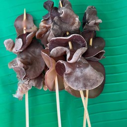 เห็ดหูหนู ย่าง หมาล่า