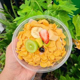 โมจิครีมชีสผลไม้ XL.