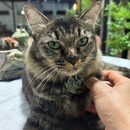 ค่าขนม น้องพวงมณี ซิงไฮฮง