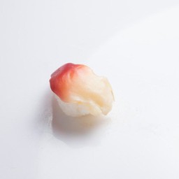 หอยปีกนก