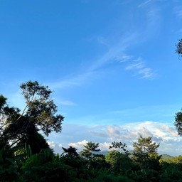 ผาหินดำ