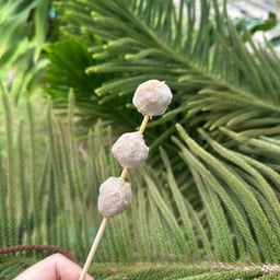 ลูกชิ้นปิ้ง หม่าล่า น้ำจิ้มแซ่บ ฮาลาล by Mumu