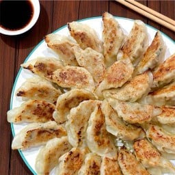 Koji Gyoza